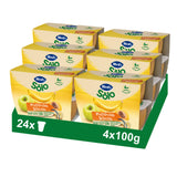 Tarrina Hero Solo multifrutas selectas